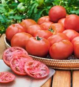 TOMATO HEINZ 1350