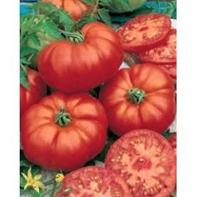 TOMATO- MARMANDE 