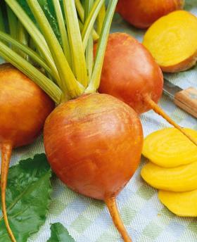 BEETROOT- BURPEES GOLDEN