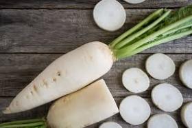 DAIKON, JAPANESE RADISH MINO EARLY