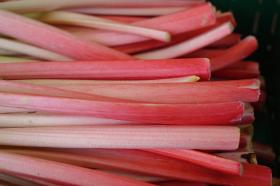 RHUBARB GP