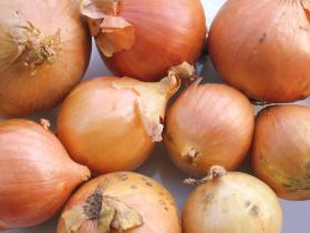 ONION - STURON