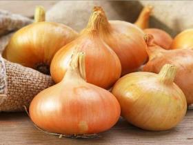 ONION SEEDS - STUTTGARTEN RIESEN