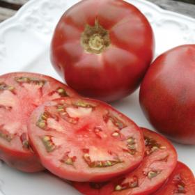TOMATO- CHEROKEE PURPLE