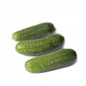 CUCUMBER TRILOGY H