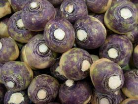 Swede GLOBUS