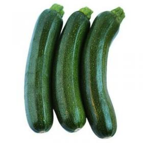 COURGETTE AMBASSADOR F1