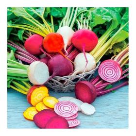 BEETROOT MIX - RAINBOW MIX