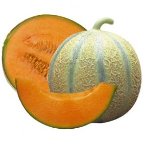 Melon Cantaloupe CHARENTAIS