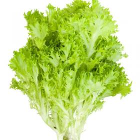 Salad LOLLO