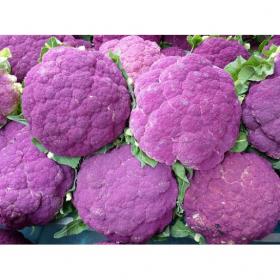 CAULIFLOWER DI SICILIA VIOLETTO