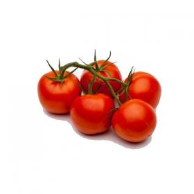 Tomato MATO
