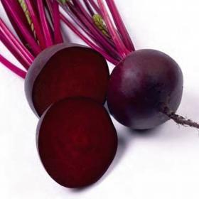 Beetroot KESTREL F1