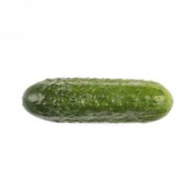 CUCUMBER - RUBATO F1