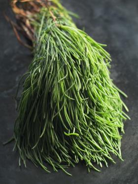 SALTWORT / ARGETTI