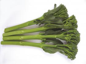 KaiBroc F1