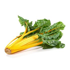 SWISS CHARD BRIGHR YELLOW