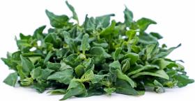 SPINACH - NEW ZELAND