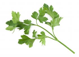 PARSLEY FLAT - LAURA