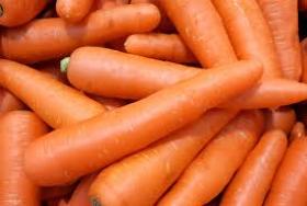Carrot JOGEVA NANTES 