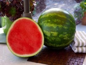 WATER MELON - CRISPEED F1