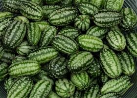 Cucamelon
