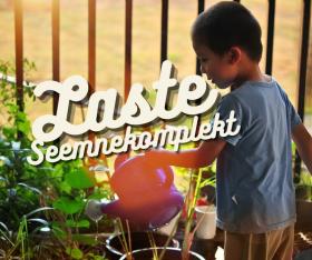 Kids Seed Pack Mix