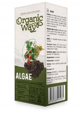 ALGAE EXTRACT–BIOSTIMULANT 100ml
