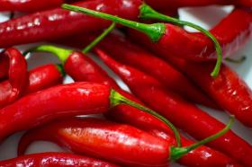 HOT CHILLI PEPPER- DE CAYENNE