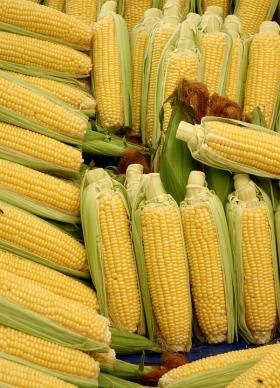 SWEETCORN - DAMAUN