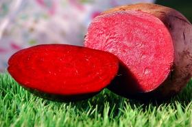 BEETROOT - JANNIS