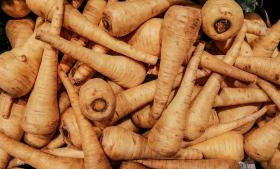 PARSNIP - TENDER AND TRUE