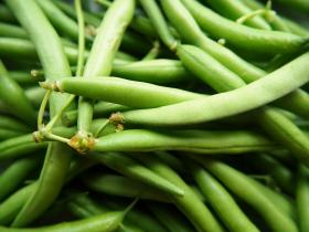 Dwarf French Bean DOMINO