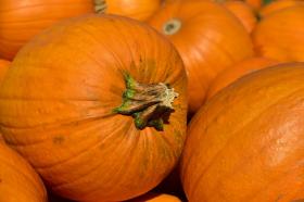 PUMPKIN - JACK O' LANTERN