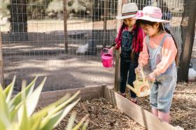 Kids Seed Pack