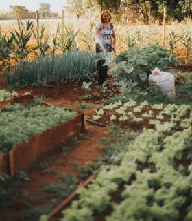 The Urban Gardener pack