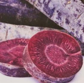 Carrot PURPLE SUN F1