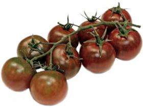 TOMATO - BELLARUBIN