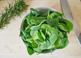 Spinach EARLY GIANT LEAF