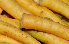 Carrot YELLOWSTONE