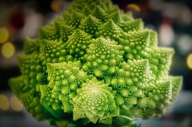 CAULIFLOWER - ROMANESCO NATALINO