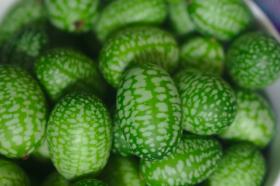 Cucamelon