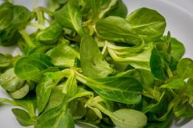 SALAD - CORN SALAD- LAMBS LETTUCE