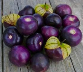 TOMATILLO PURPLE