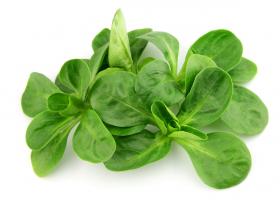 SALAD - CORN SALAD- LAMBS LETTUCE