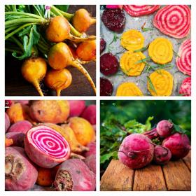 Colored Beetroot Mix 