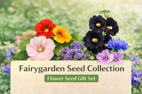 Fairy Garden Seed Collection 