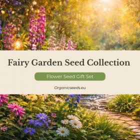 Fairy Garden Seed Collection 