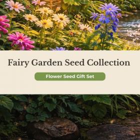 Fairy Garden Seed Collection 