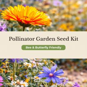 Pollinator Garden Seed Kit (Bee & Butterfly Friendly)